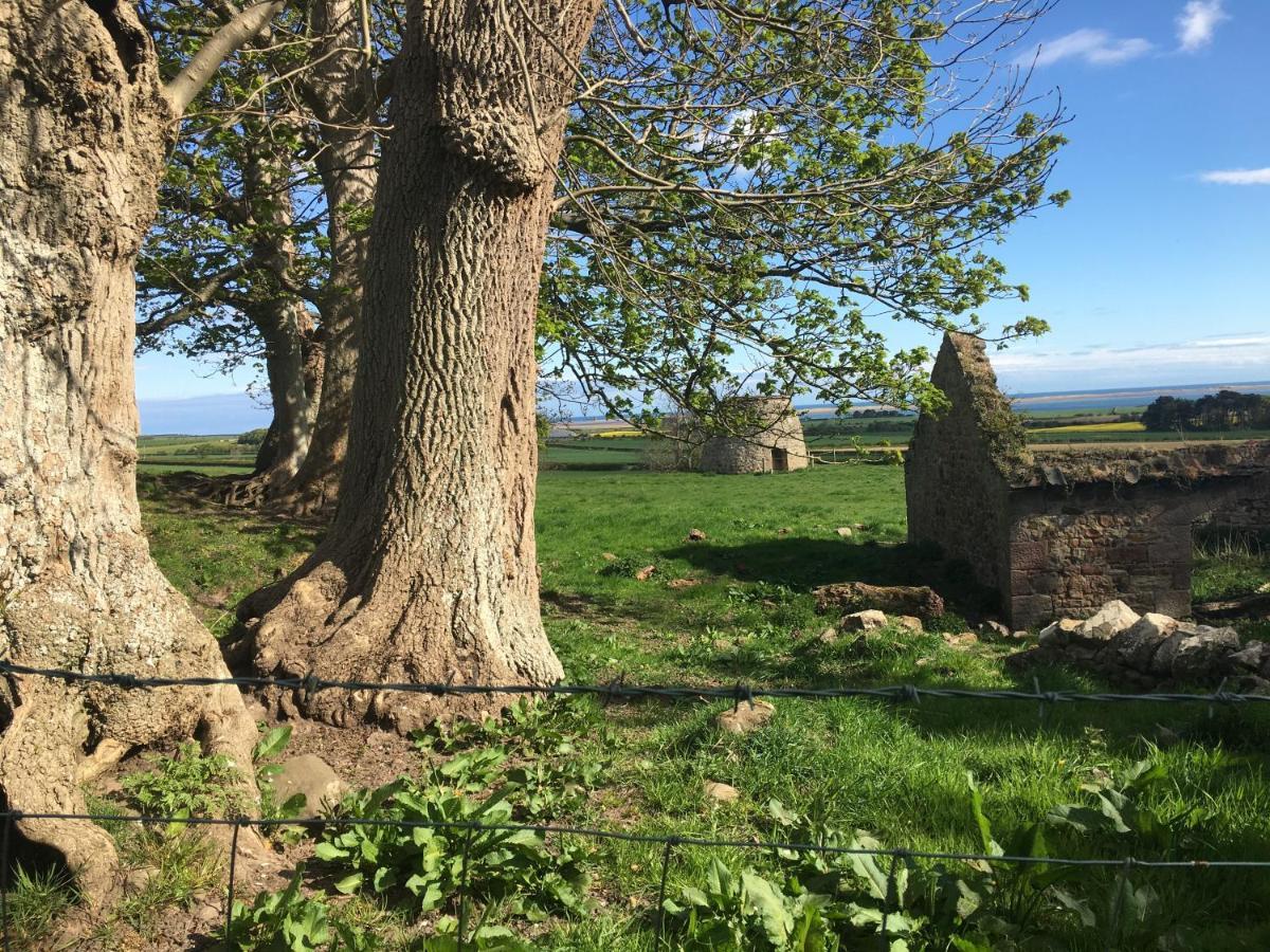 Buckton Farmhouse Белфърд Екстериор снимка